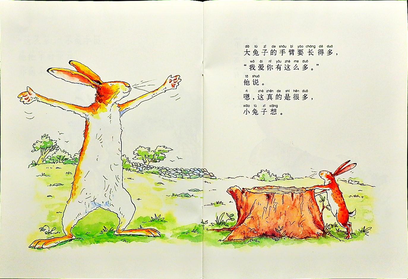 猜猜我有多爱你 (07),绘本,绘本故事,绘本阅读,故事书,童书,图画书,课外阅读